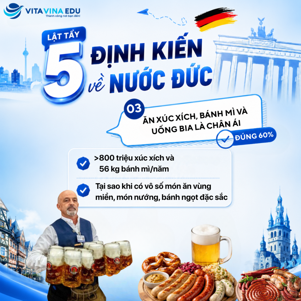 dinh-kien-nuoc-duc-to-chuc-giao-duc-du-hoc-nghe-duc-vita-vina